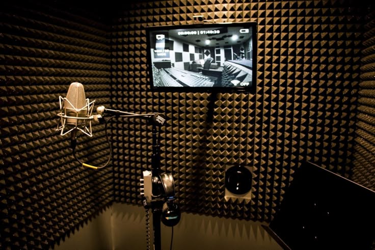 Pyramid acoustic foam (3)